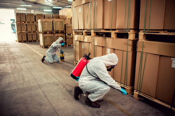 Best Affordable Pest Control Services  in Spanay, WA