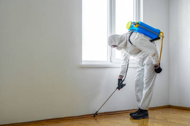 Best Pest Control Near Me  in Spanay, WA