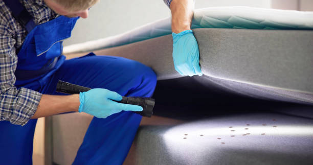 Best Best Pest Control Companies  in Spanay, WA