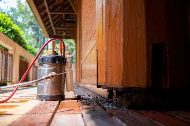 Best Cockroach Control Services  in Spanay, WA