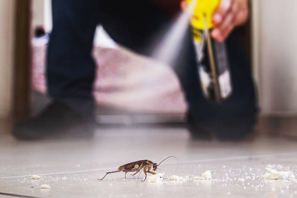 Best Bed Bug Extermination  in Spanay, WA