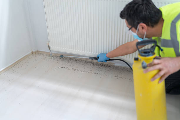 Best Wasp Removal Services  in Spanay, WA