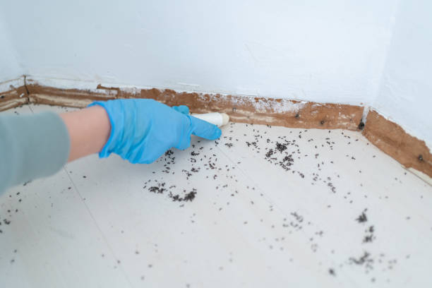Best Residential Pest Control  in Spanay, WA